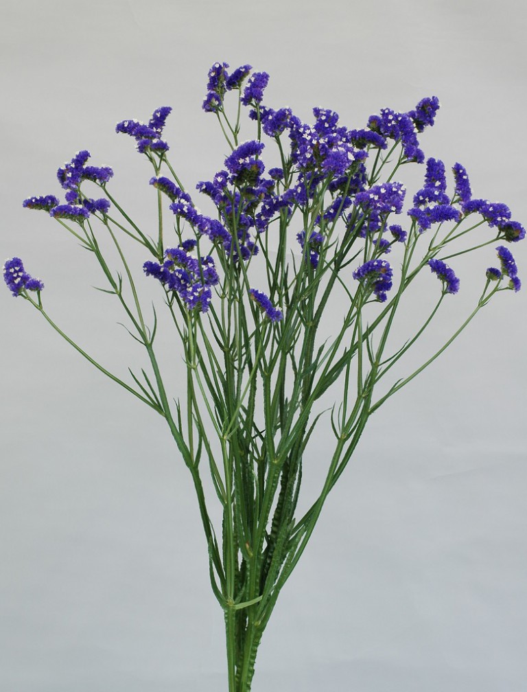 06-018_ラスターアメジスト