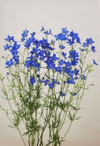 スーパーグランブルー3型