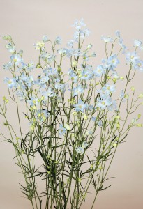 スーパーシフォンブルーⅠ型__