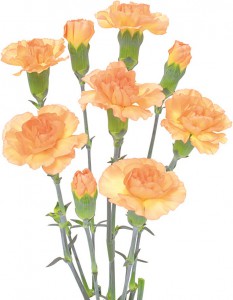 オレンジレンジ