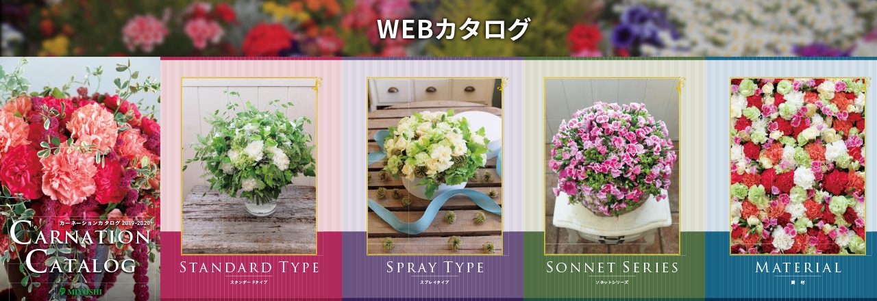 WEBカタログ